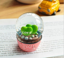 Succulent Plants Furnishings Crystal Ball