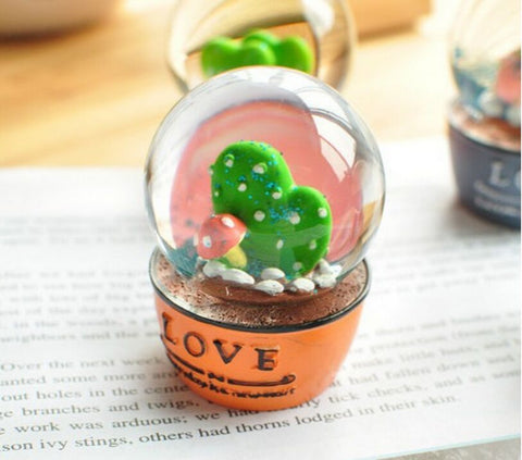 Succulent Plants Furnishings Crystal Ball