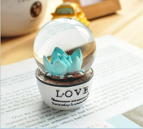 Succulent Plants Furnishings Crystal Ball